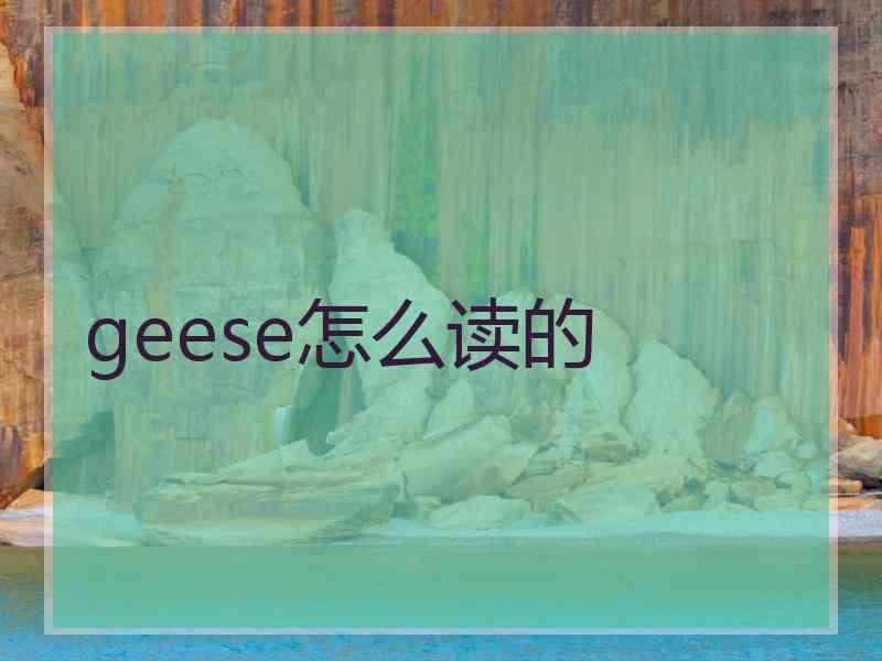 geese怎么读的