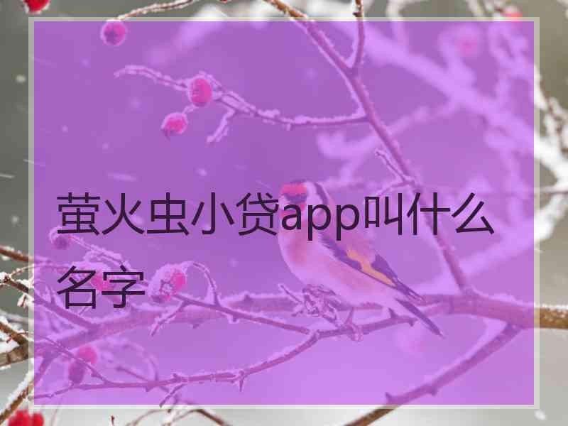 萤火虫小贷app叫什么名字