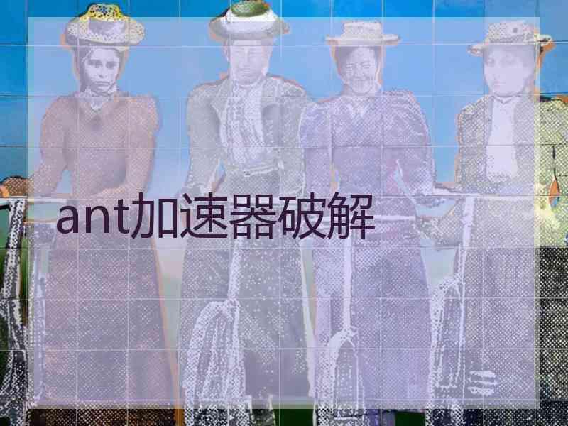 ant加速器破解