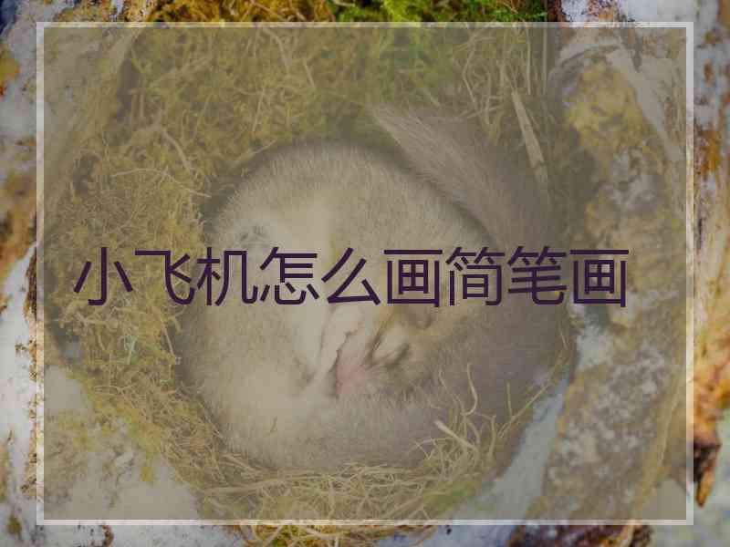 小飞机怎么画简笔画