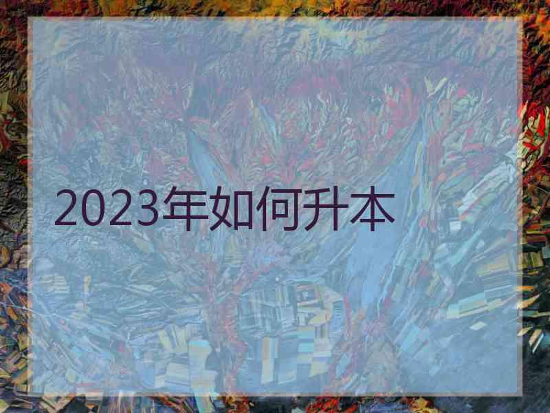 2023年如何升本