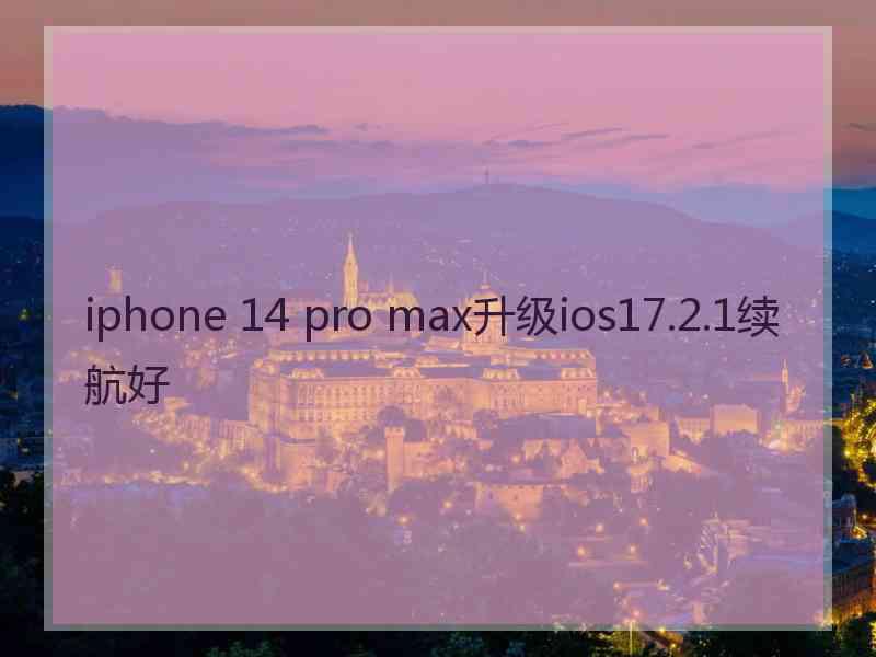 iphone 14 pro max升级ios17.2.1续航好