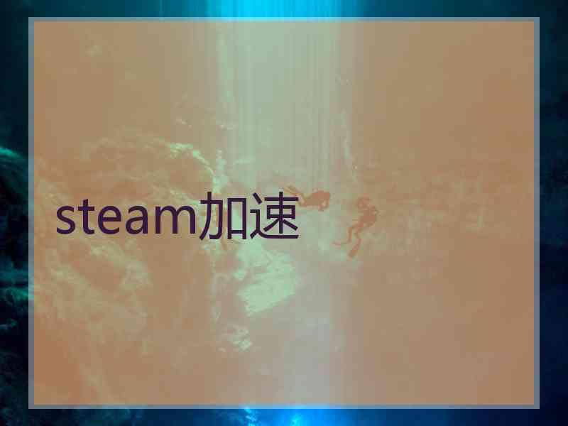 steam加速