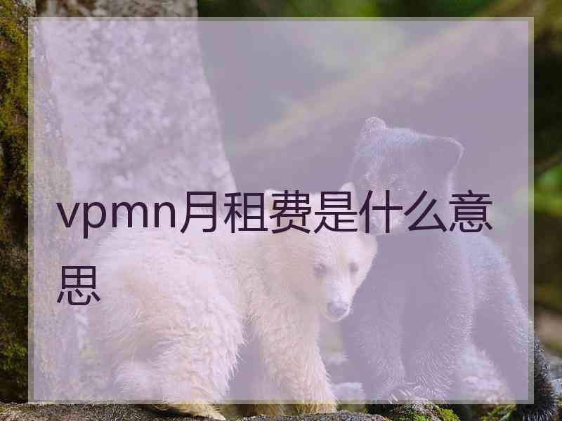 vpmn月租费是什么意思