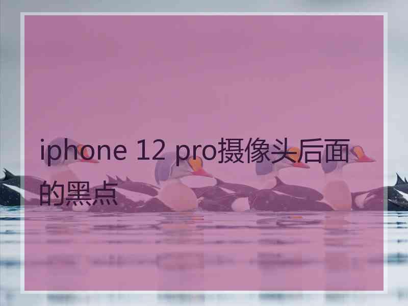 iphone 12 pro摄像头后面的黑点