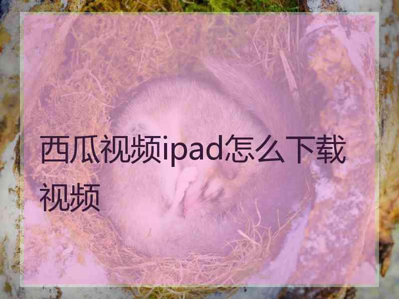 西瓜视频ipad怎么下载视频