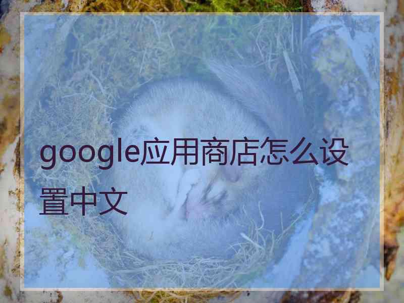 google应用商店怎么设置中文