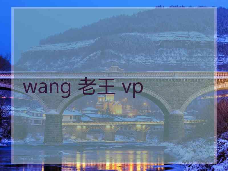 wang 老王 vp