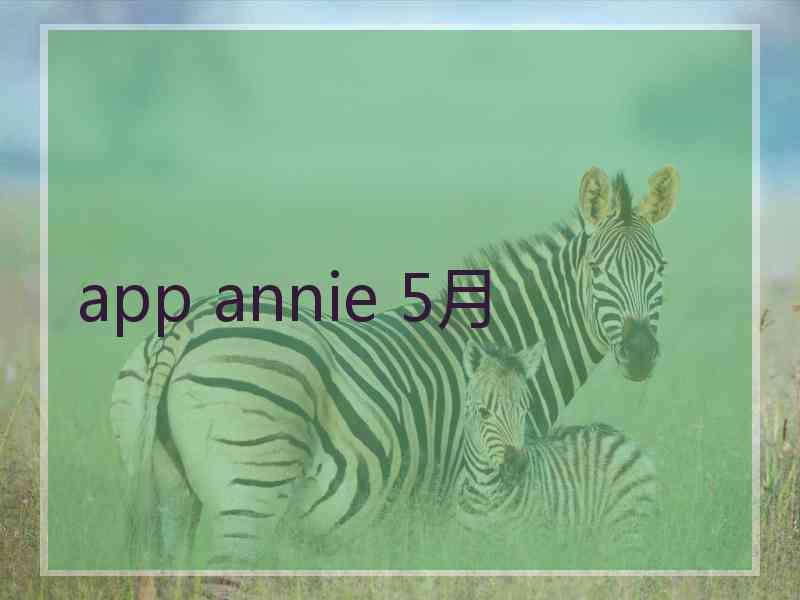 app annie 5月