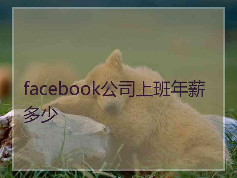 facebook公司上班年薪多少