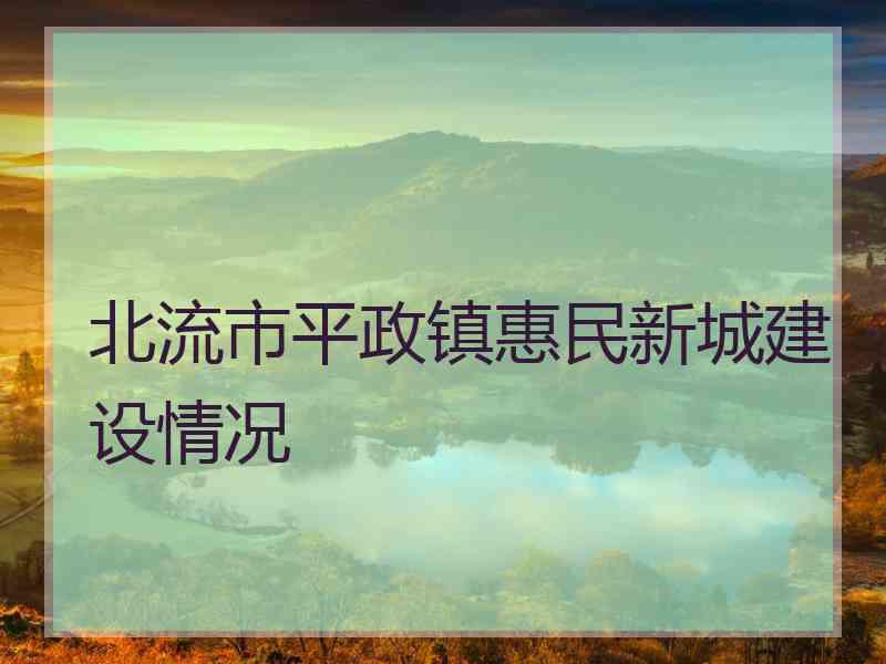 北流市平政镇惠民新城建设情况