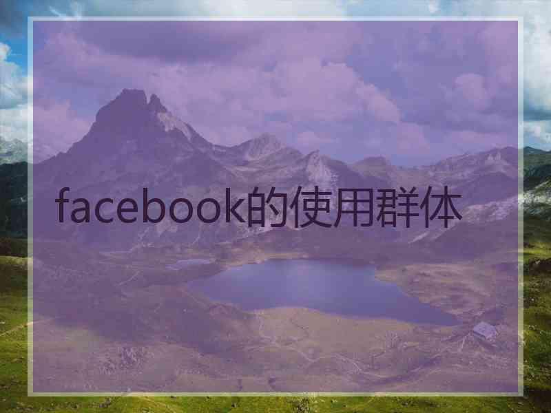 facebook的使用群体