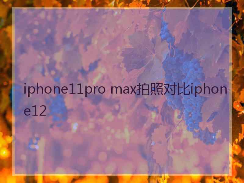 iphone11pro max拍照对比iphone12