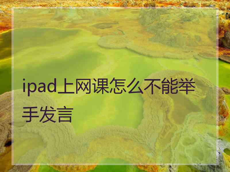 ipad上网课怎么不能举手发言