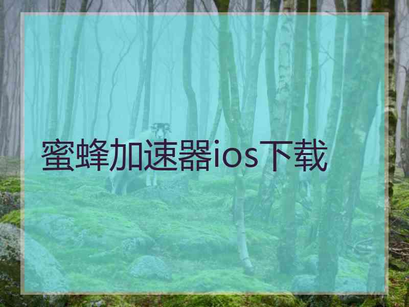 蜜蜂加速器ios下载