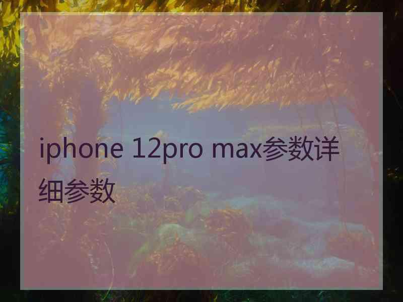 iphone 12pro max参数详细参数