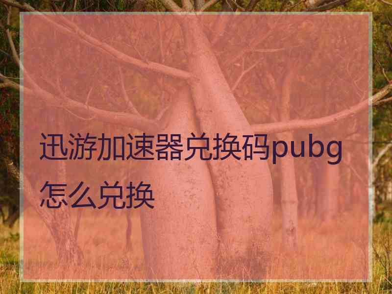 迅游加速器兑换码pubg怎么兑换