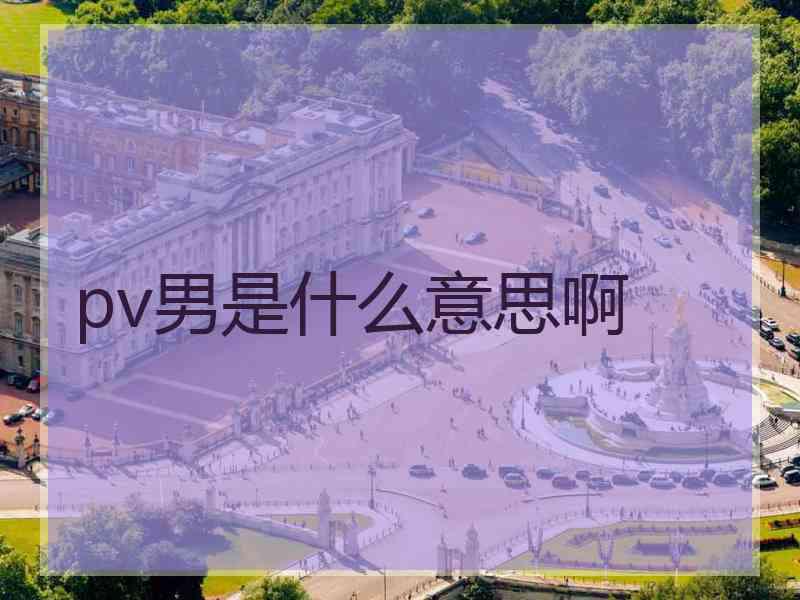 pv男是什么意思啊