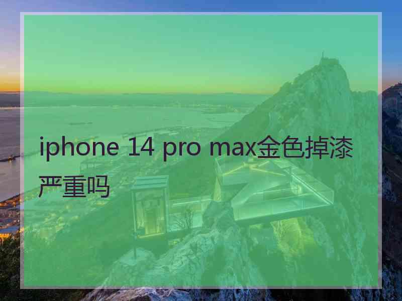 iphone 14 pro max金色掉漆严重吗