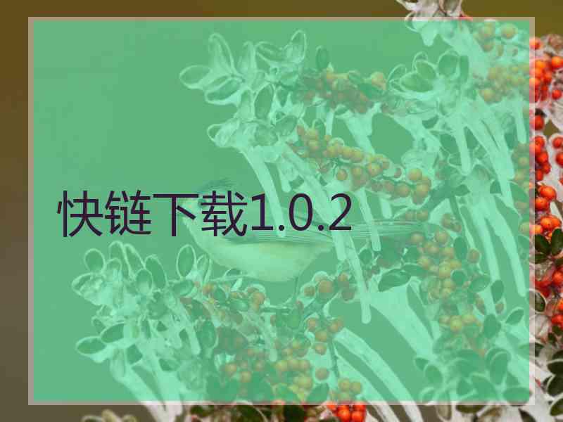 快链下载1.0.2