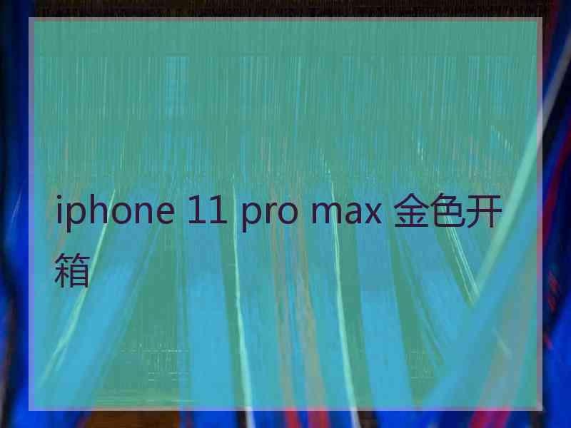 iphone 11 pro max 金色开箱