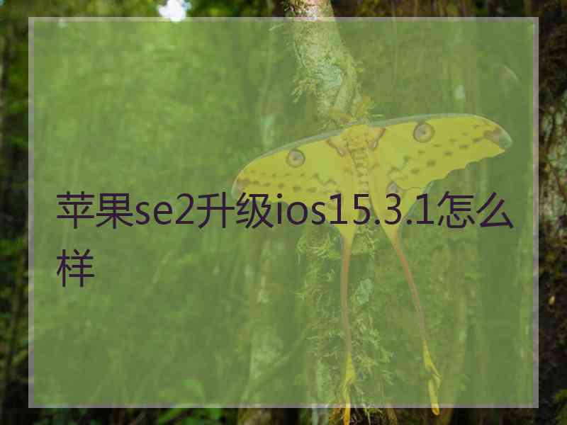 苹果se2升级ios15.3.1怎么样