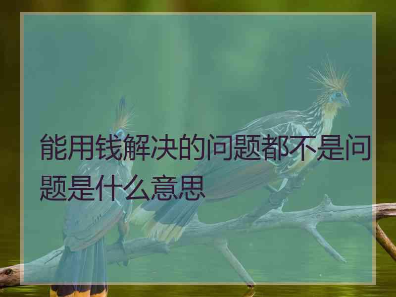 能用钱解决的问题都不是问题是什么意思