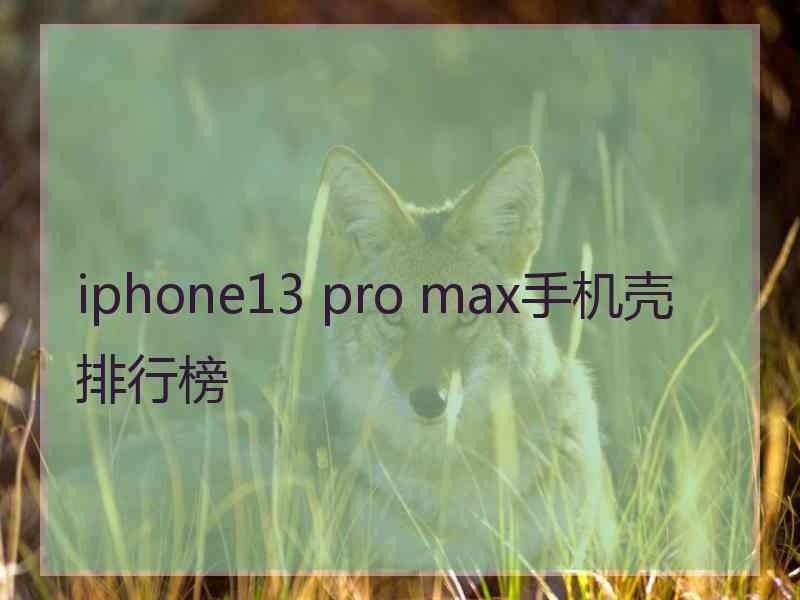 iphone13 pro max手机壳排行榜