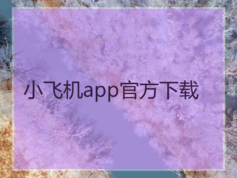 小飞机app官方下载