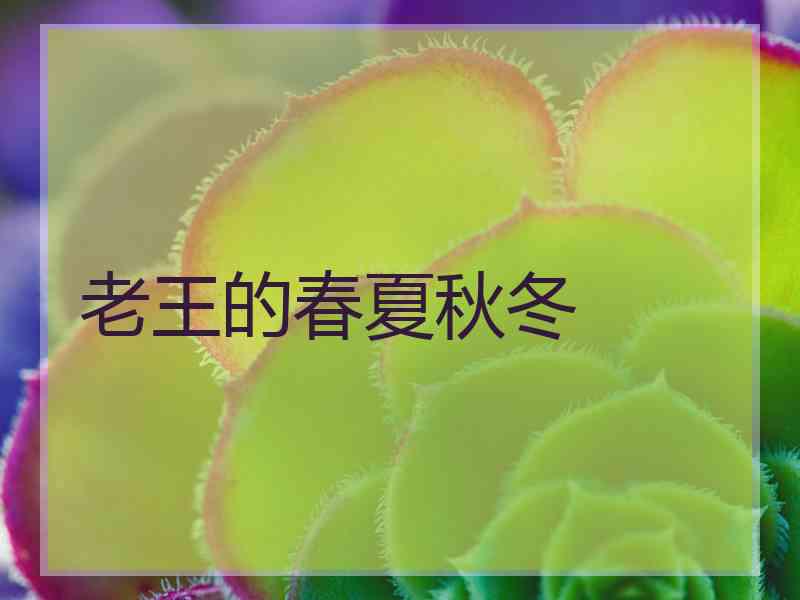 老王的春夏秋冬