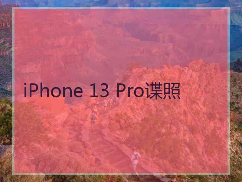 iPhone 13 Pro谍照