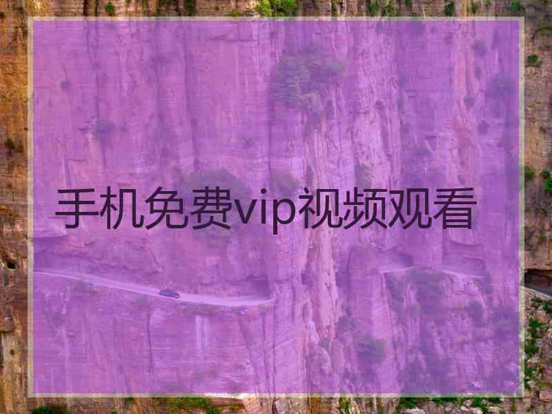 手机免费vip视频观看