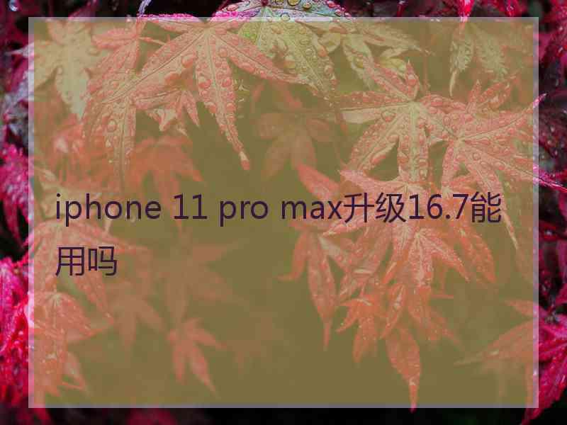 iphone 11 pro max升级16.7能用吗