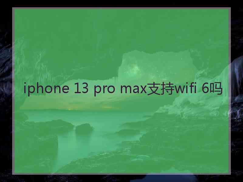 iphone 13 pro max支持wifi 6吗