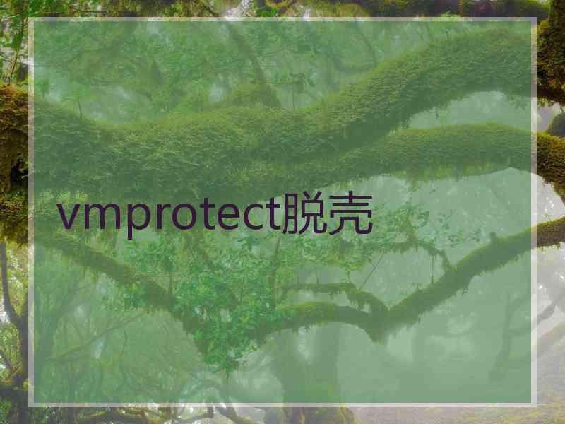 vmprotect脱壳