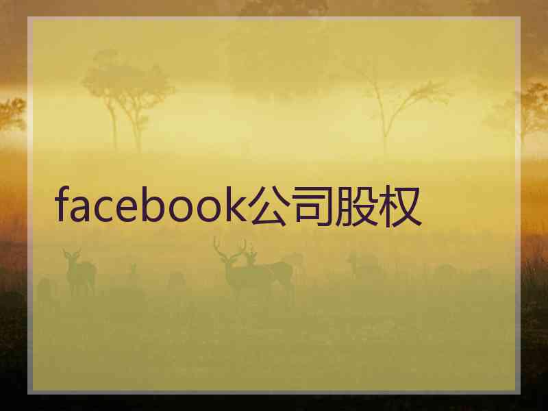 facebook公司股权