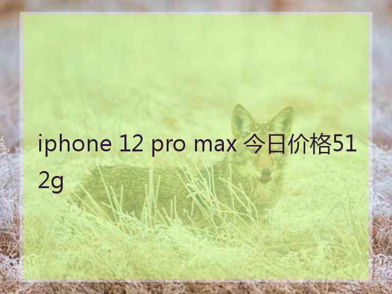 iphone 12 pro max 今日价格512g