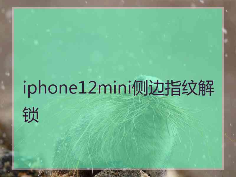 iphone12mini侧边指纹解锁