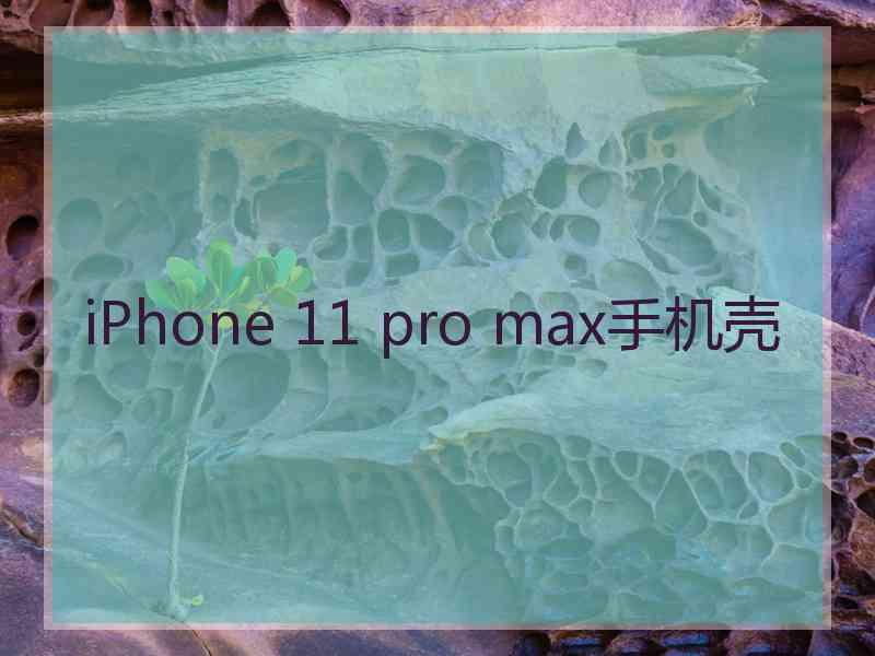 iPhone 11 pro max手机壳