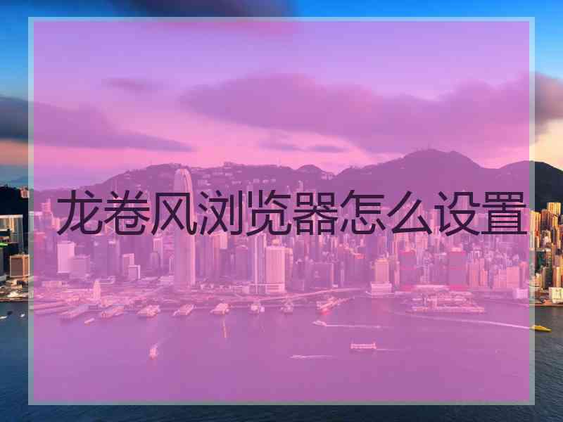 龙卷风浏览器怎么设置