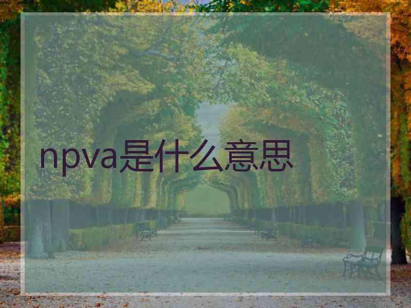 npva是什么意思