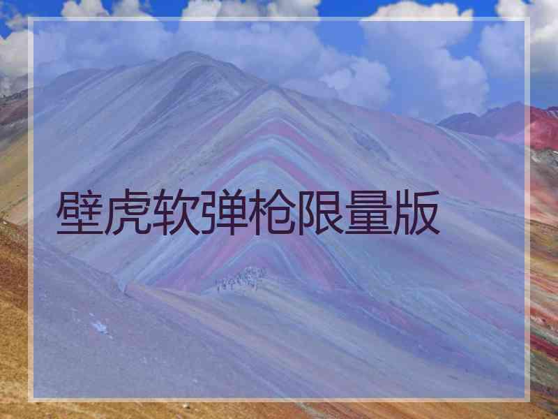 壁虎软弹枪限量版