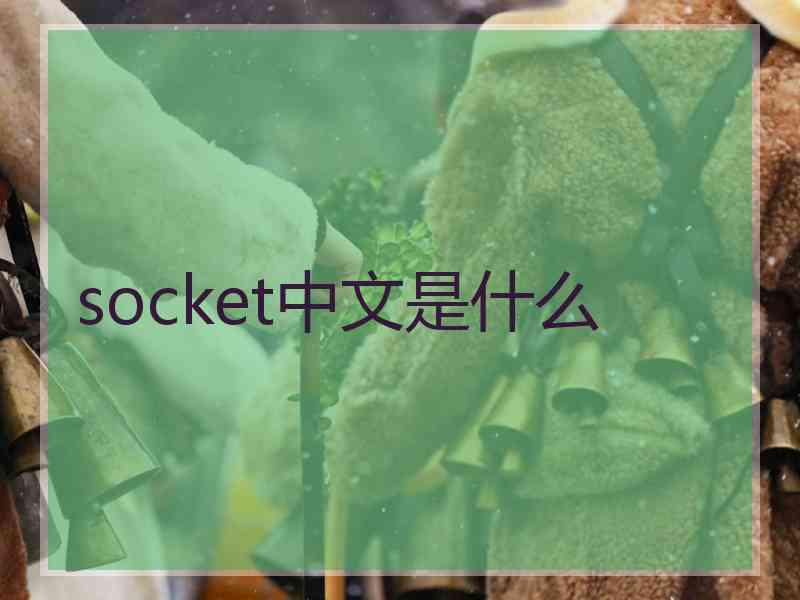 socket中文是什么