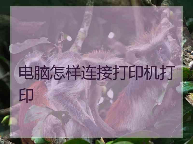 电脑怎样连接打印机打印