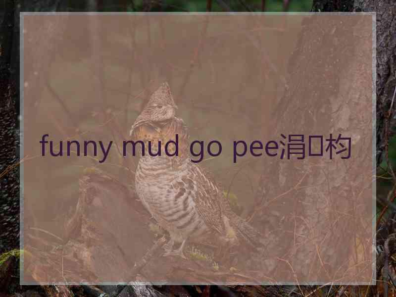 funny mud go pee涓枃