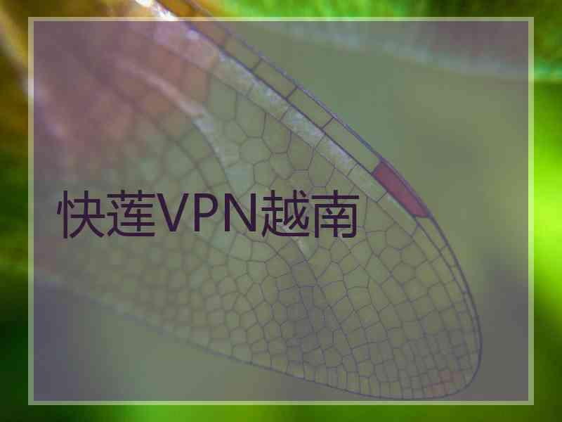 快莲VPN越南