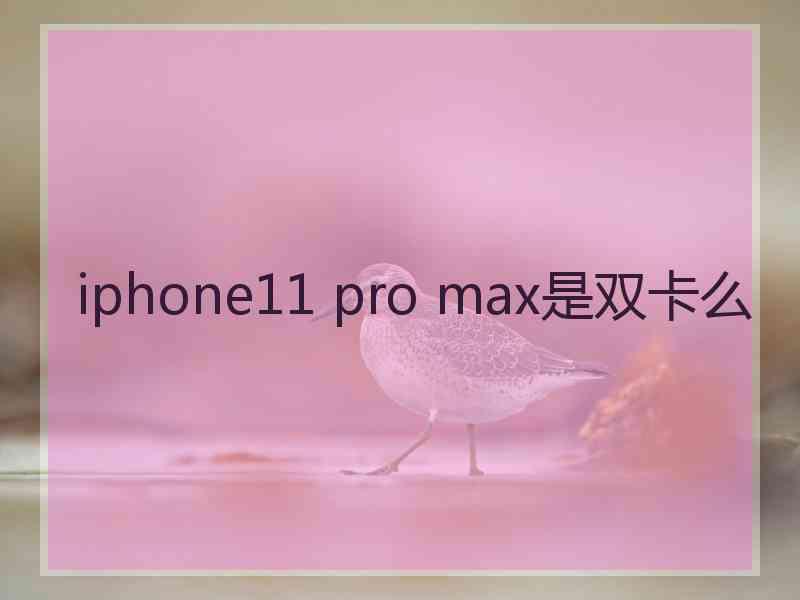 iphone11 pro max是双卡么