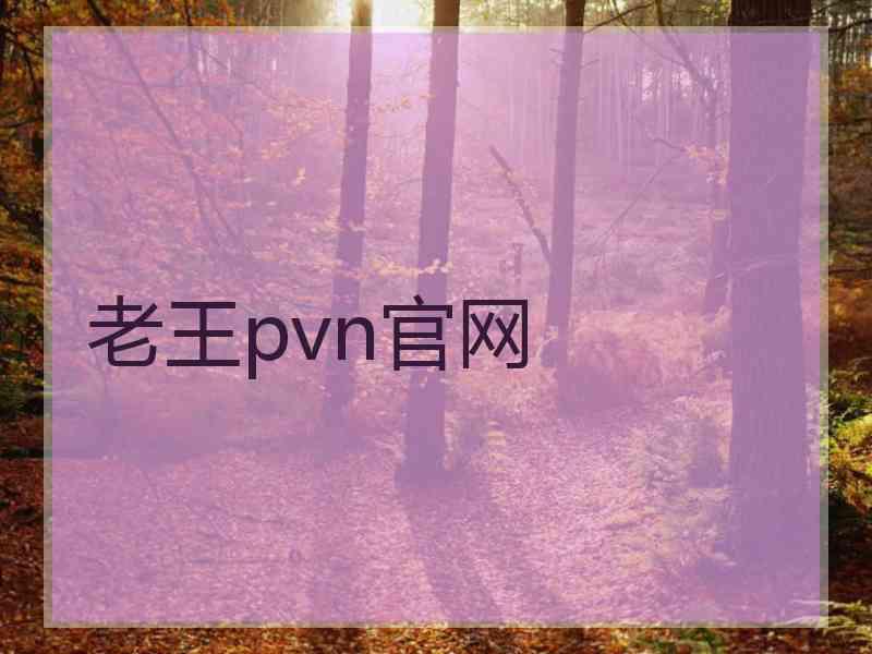 老王pvn官网