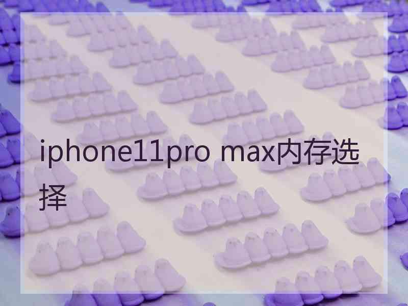 iphone11pro max内存选择