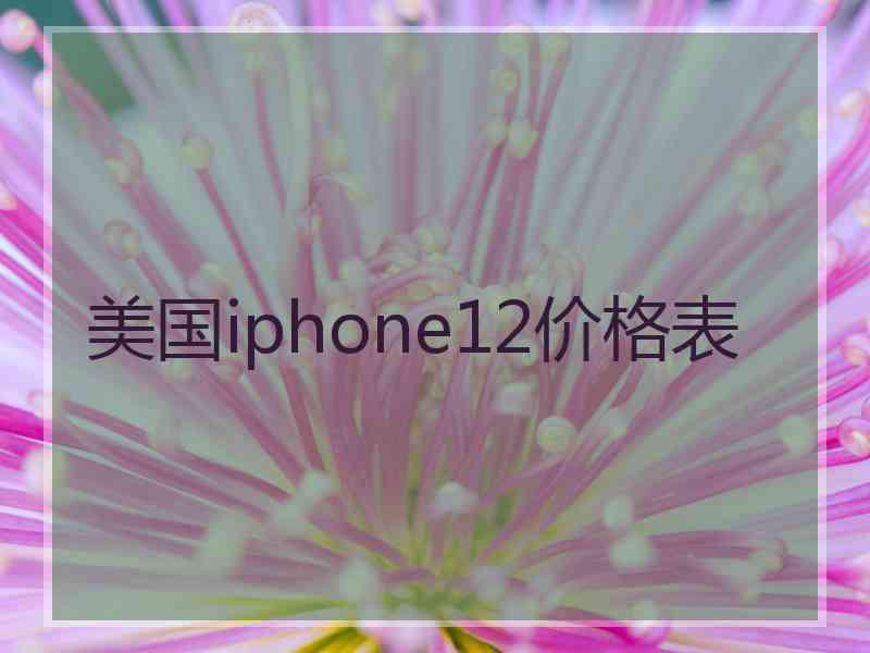 美国iphone12价格表